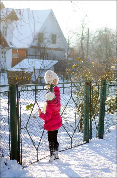 Натисніть, щоб побачити повний розмір