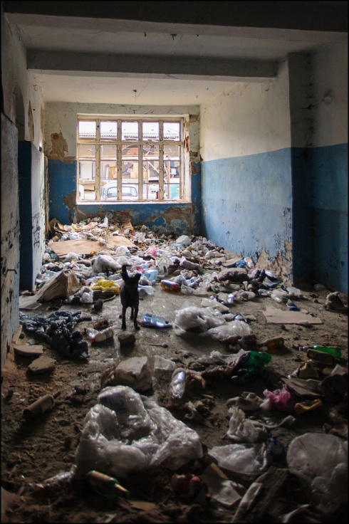 Натисніть, щоб побачити повний розмір