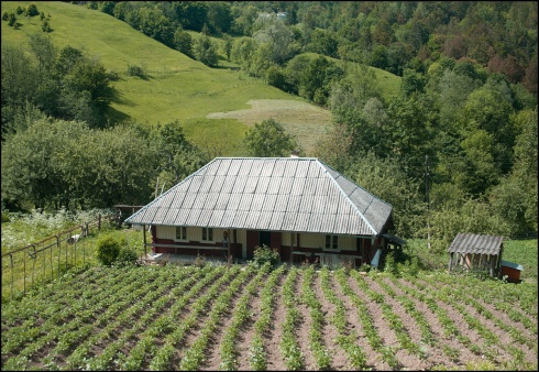 Натисніть, щоб побачити повний розмір