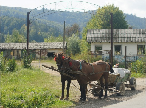 Натисніть, щоб побачити повний розмір