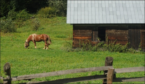 Натисніть, щоб побачити повний розмір