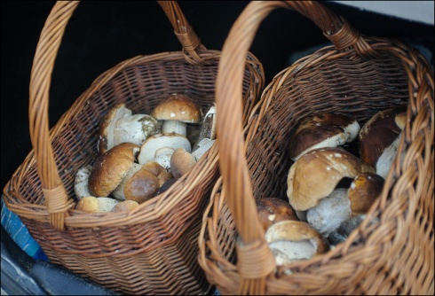 Натисніть, щоб побачити повний розмір