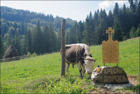 Натисніть, щоб побачити повний розмір