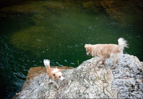 Натисніть, щоб побачити повний розмір