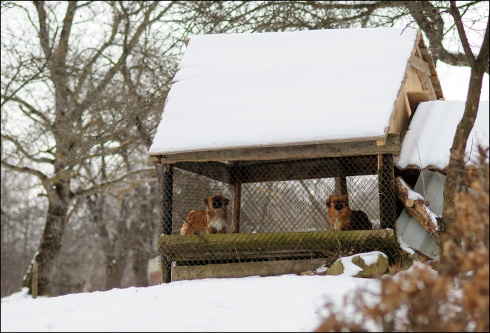 Натисніть, щоб побачити повний розмір