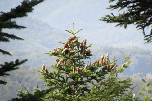Натисніть, щоб побачити повний розмір