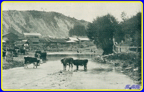 Натисніть, щоб побачити повний розмір