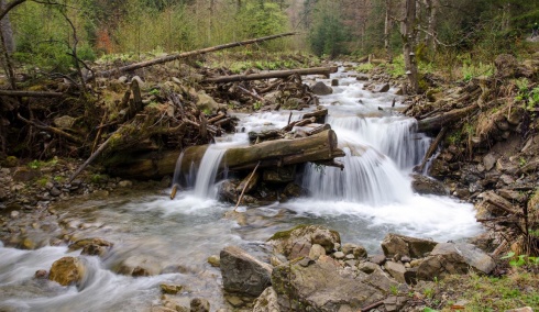Натисніть, щоб побачити повний розмір