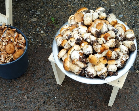 Натисніть, щоб побачити повний розмір