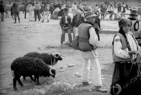 Натисніть, щоб побачити повний розмір