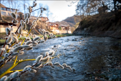 Натисніть, щоб побачити повний розмір