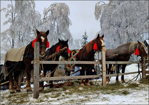 Натисніть, щоб побачити повний розмір