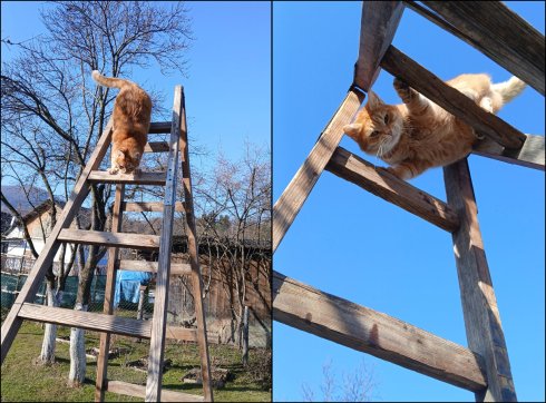 Натисніть, щоб побачити повний розмір
