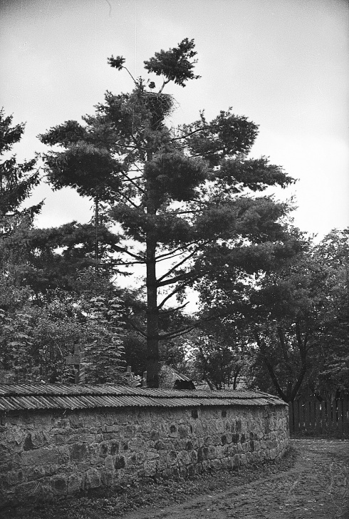 Натисніть, щоб побачити повний розмір