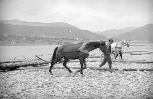 Натисніть, щоб побачити повний розмір