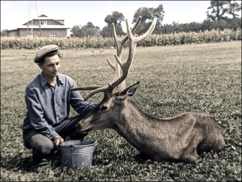 Натисніть, щоб побачити повний розмір