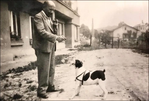 Натисніть, щоб побачити повний розмір