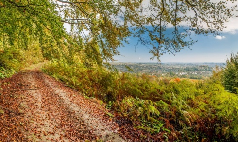 Натисніть, щоб побачити повний розмір