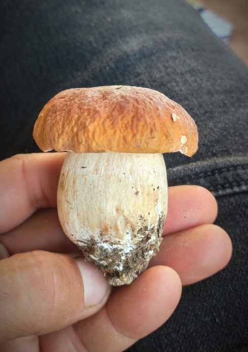 Натисніть, щоб побачити повний розмір