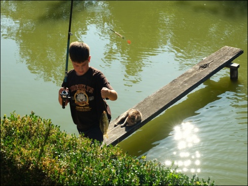 Натисніть, щоб побачити повний розмір