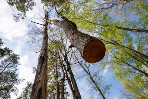Натисніть, щоб побачити повний розмір