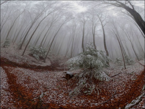Натисніть, щоб побачити повний розмір
