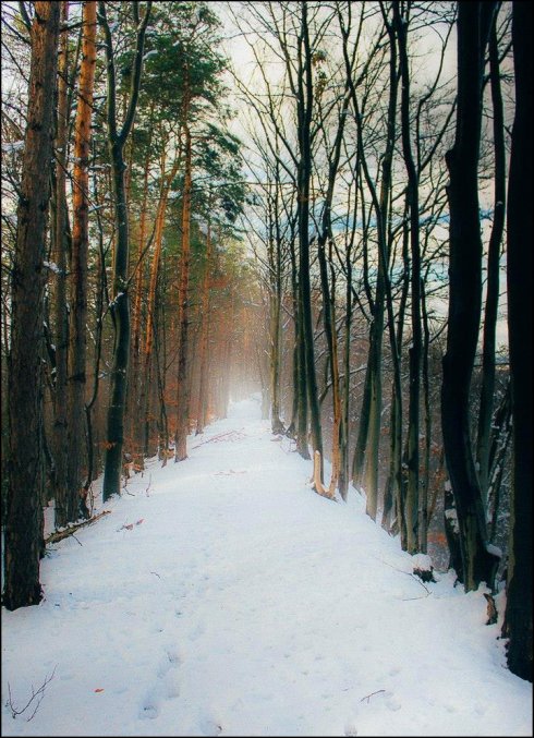 Натисніть, щоб побачити повний розмір