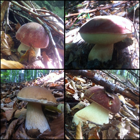 Натисніть, щоб побачити повний розмір