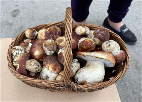 Натисніть, щоб побачити повний розмір