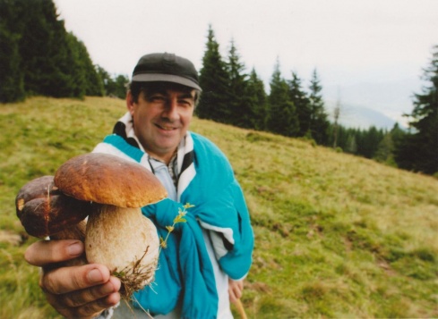 Натисніть, щоб побачити повний розмір