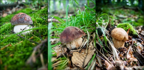 Натисніть, щоб побачити повний розмір