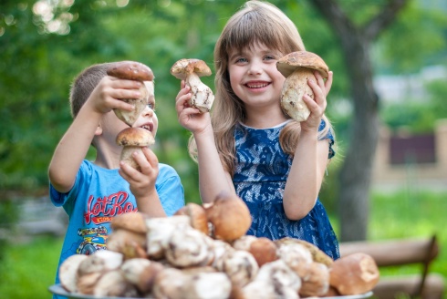 Натисніть, щоб побачити повний розмір