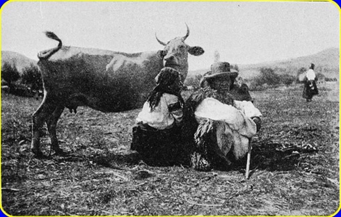 Натисніть, щоб побачити повний розмір