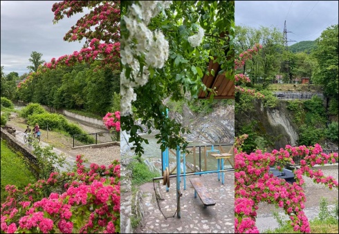 Натисніть, щоб побачити повний розмір