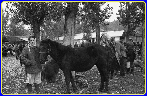 Натисніть, щоб побачити повний розмір