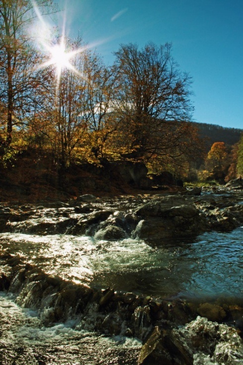 Натисніть, щоб побачити повний розмір
