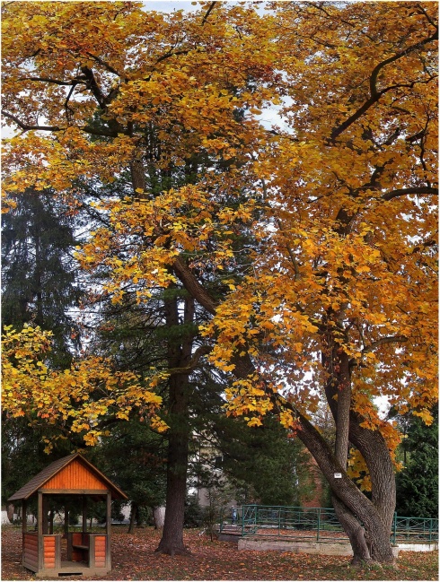 Натисніть, щоб побачити повний розмір