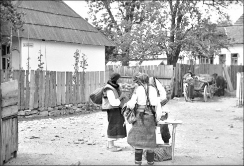 Натисніть, щоб побачити повний розмір