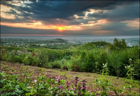 Натисніть, щоб побачити повний розмір