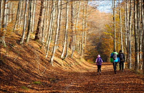 Натисніть, щоб побачити повний розмір
