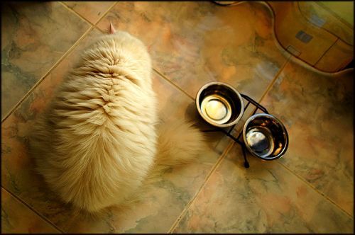 Натисніть, щоб побачити повний розмір