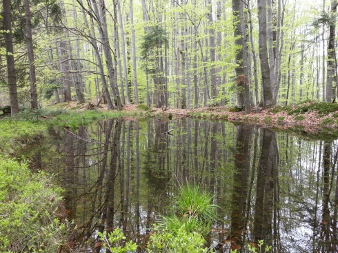 Натисніть, щоб побачити повний розмір