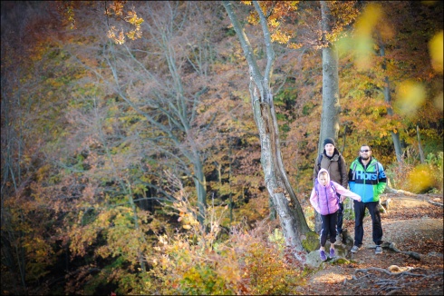 Натисніть, щоб побачити повний розмір