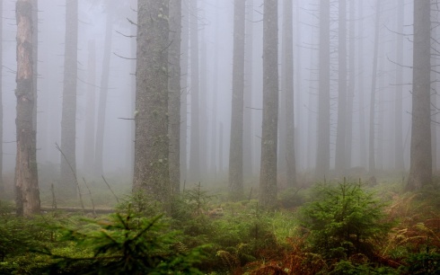 Натисніть, щоб побачити повний розмір