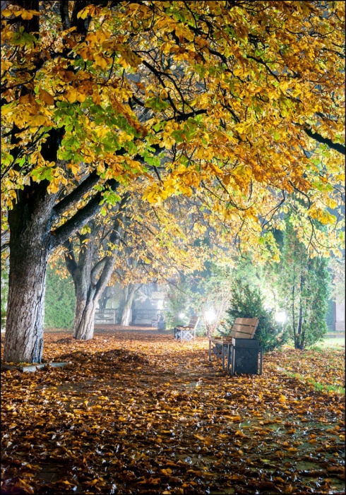 Натисніть, щоб побачити повний розмір