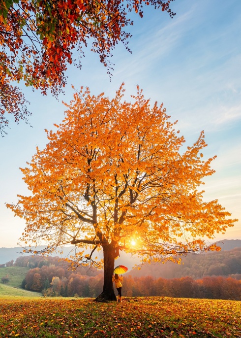 Натисніть, щоб побачити повний розмір