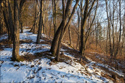 Натисніть, щоб побачити повний розмір