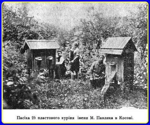 Натисніть, щоб побачити повний розмір