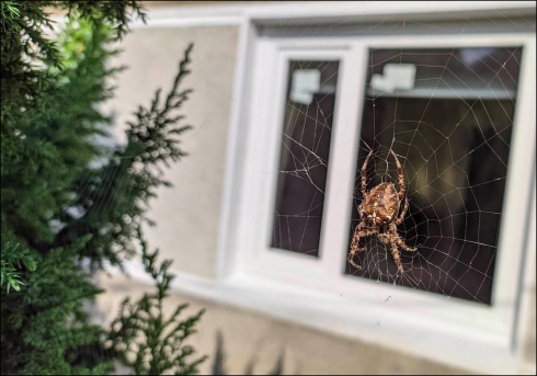 Натисніть, щоб побачити повний розмір
