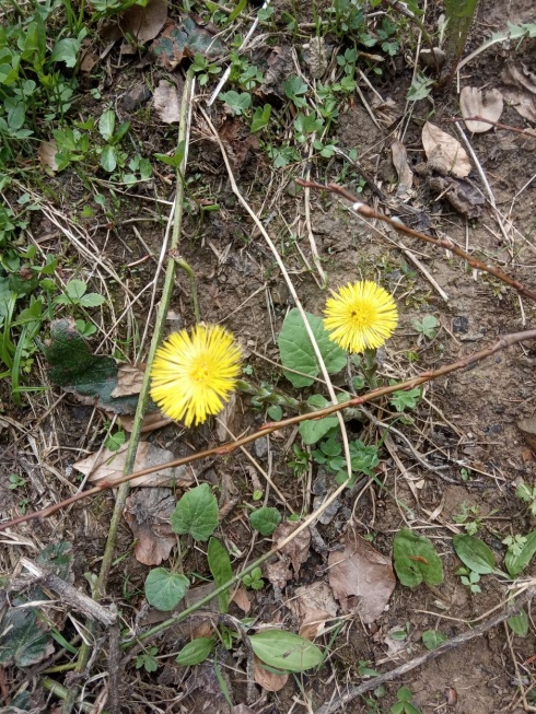 Натисніть, щоб побачити повний розмір